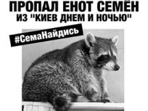 Єнот Семен зник!