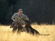 Серце звіра: дата виходу у кінотеатрах та трейлер до фільму